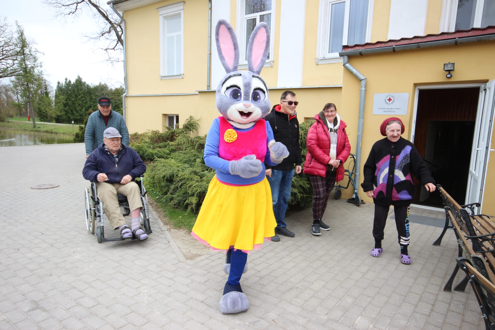 Apstādīsim Latviju 2026 - foto 11