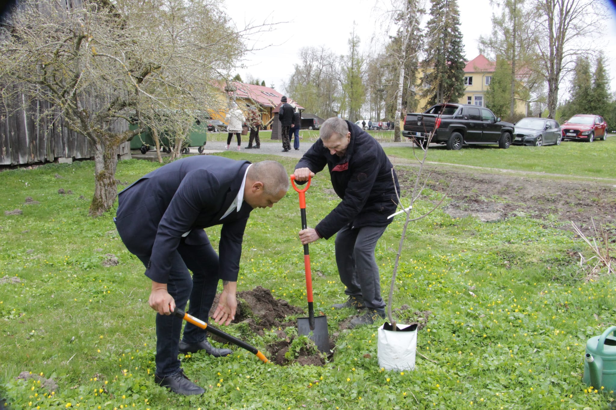 Apstādīsim Latviju 2026 - foto 14