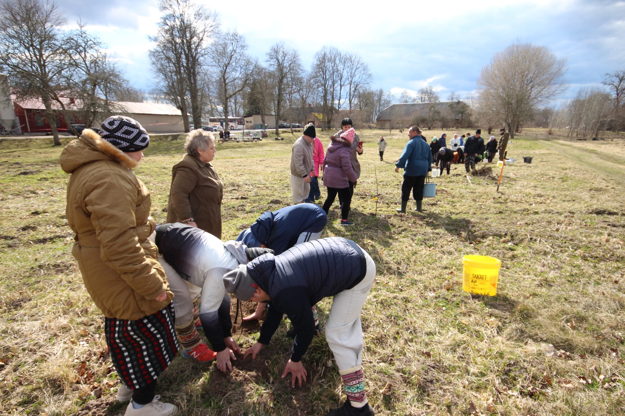 Apstādīsim Latviju 2026 - foto 3