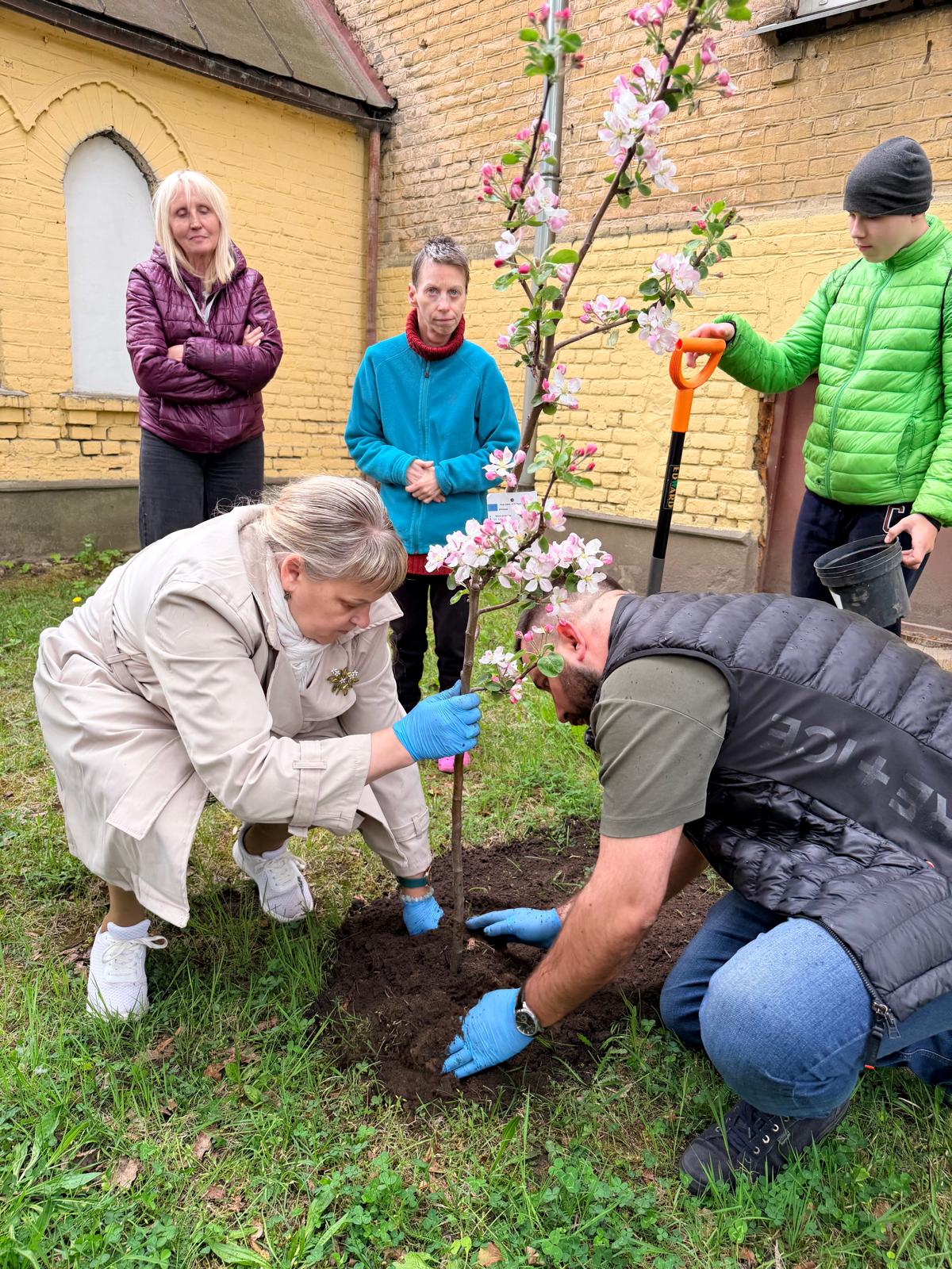 Apstādīsim Latviju 2026 - foto 31